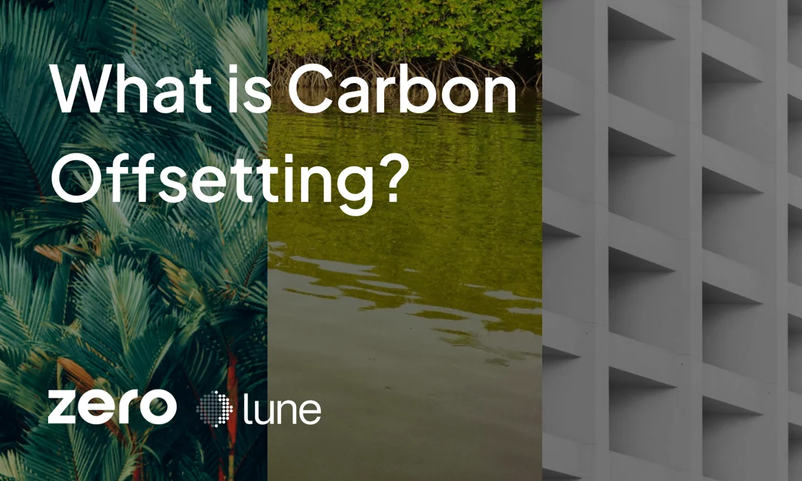 What is Carbon Offsetting? Image