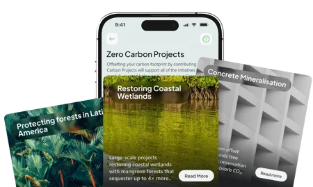 What are Carbon Projects
